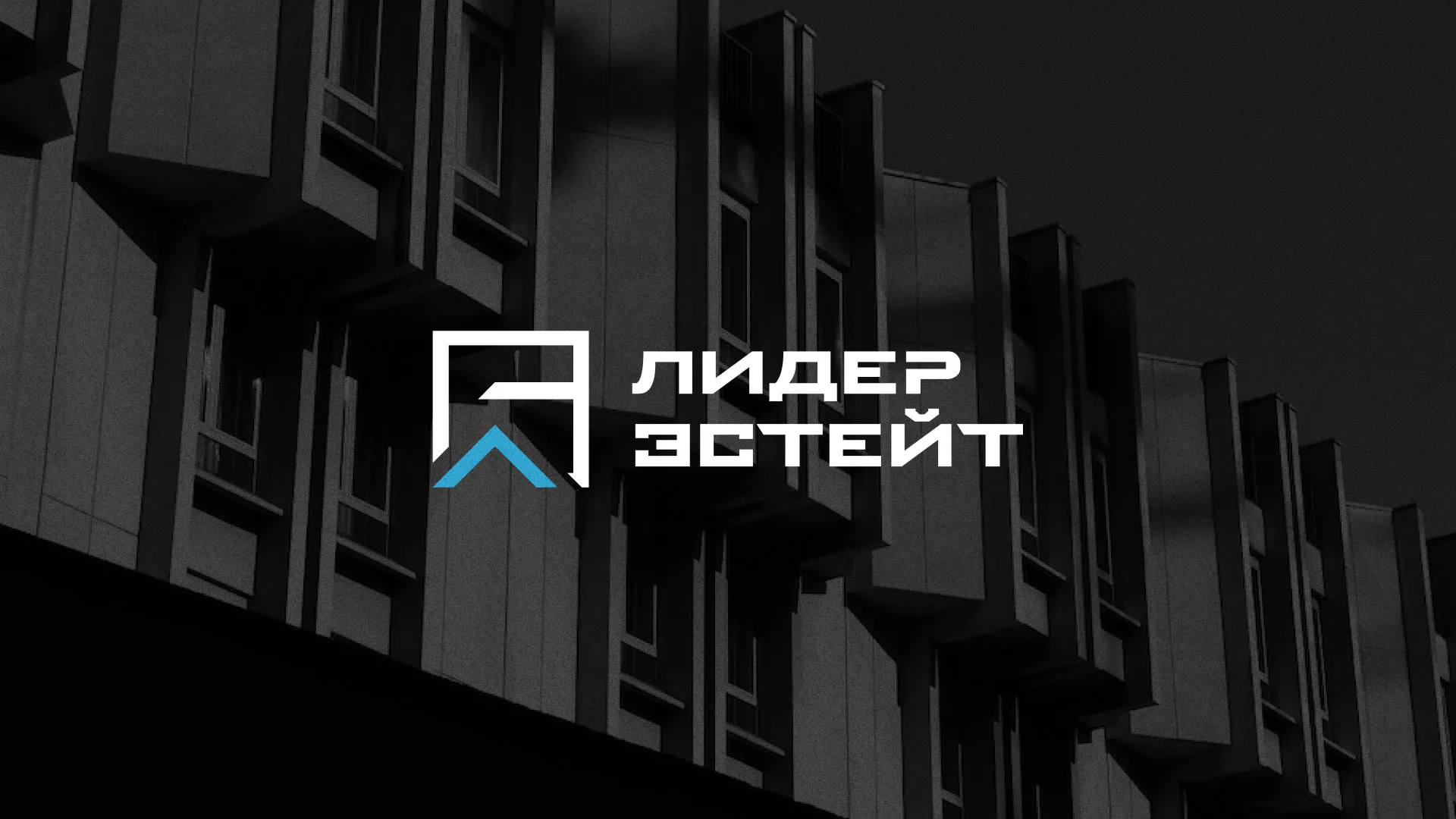 Разработка логотипа агентства недвижимости «Лидер Эстейт» в Красном Сулине